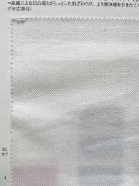 12768 Polyester / Cotton Aloft Mũi đan Hạt Gạo[Vải] SUNWELL ( Giếng Trời ) Ảnh phụ
