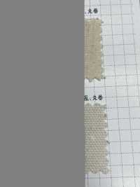 K1420 Fujikinbai Cotton 10/8 Vải Oxford Generation Refining Fuji Kinume Ảnh phụ