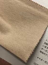 FJ220140 19 / - Vải Cotton Tenjiku BD Hữu Cơ Thổ Nhĩ Kỳ Fujisaki Textile Ảnh phụ