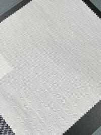 1076025 Cotton × TRYCOOL® 36G Mũi đan Hạt Gạo Sọc Ngang[Vải] Takisada Nagoya Ảnh phụ