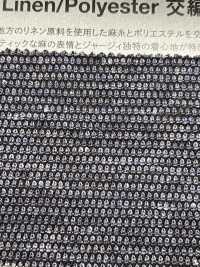 1079001 Màu Nhuộm Hàng đầu Linen Jersey Birdseye[Vải] Takisada Nagoya Ảnh phụ