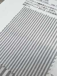 6013 ECOPET (R) Kẻ Sọc Vải Mộc Polyester / Cotton SUNWELL ( Giếng Trời ) Ảnh phụ