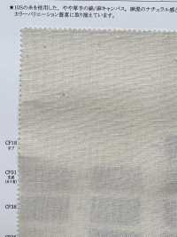 11452 Vải Bố Canvas Sợi Gai (Chiều Rộng 150cm) SUNWELL ( Giếng Trời ) Ảnh phụ
