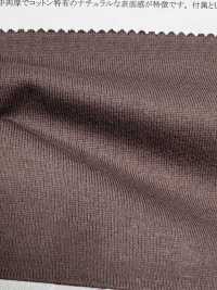 11678 30/2 Vải Cotton Tenjiku Bông Chải Kỹ SUNWELL ( Giếng Trời ) Ảnh phụ