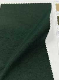 LIG6670 Ny Taslan Vintage Vải Oxford Lingo (Dệt May Kuwamura) Ảnh phụ