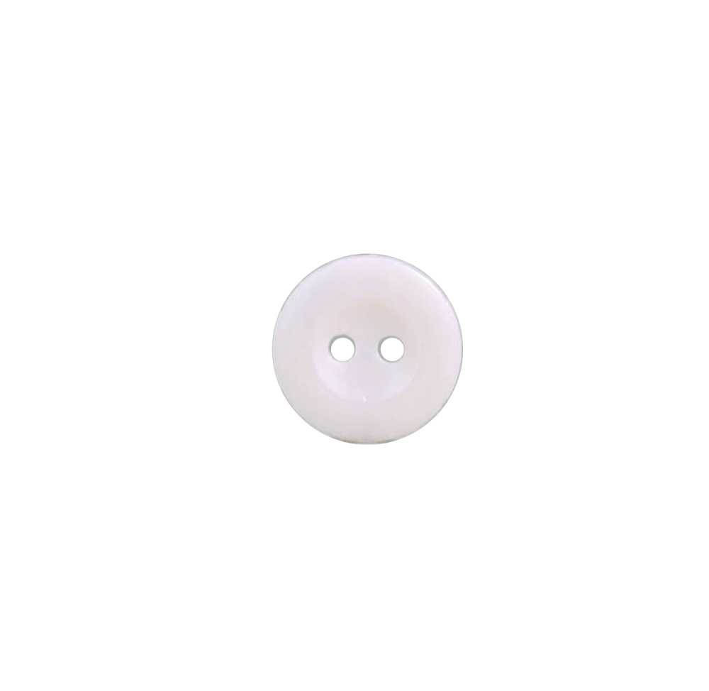 ECG2102P Cúc Hai Lỗ Nhựa Resin Polyester IRIS