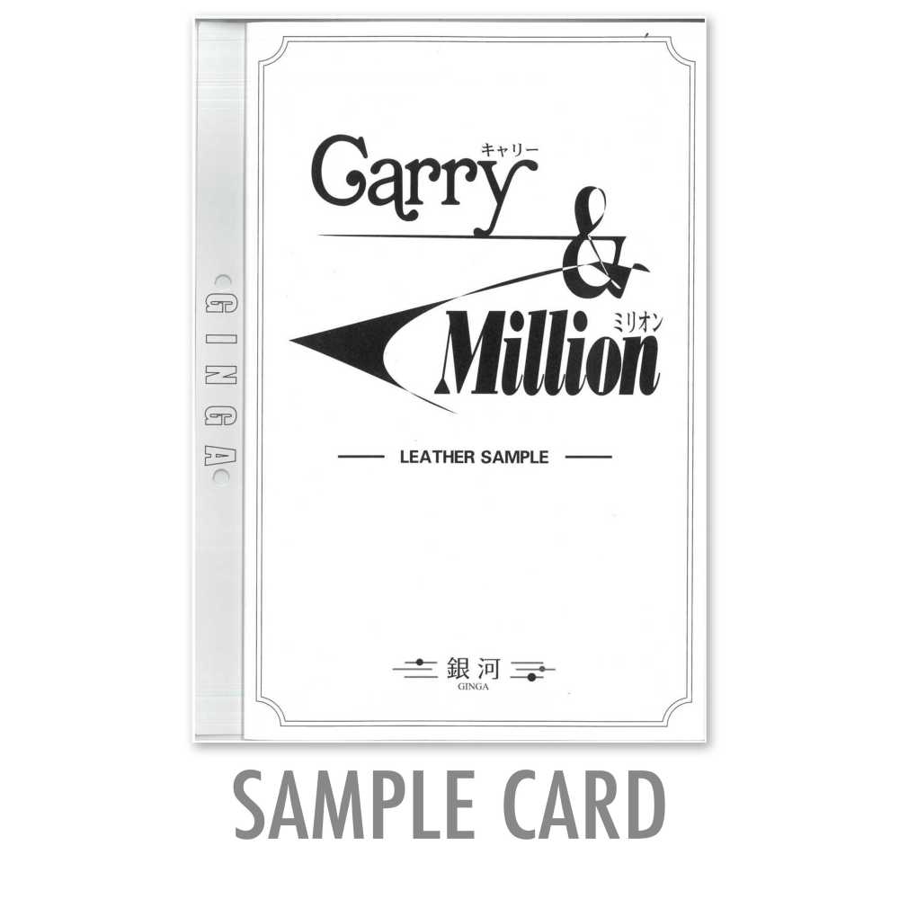 GINGA-SAMPLE2 Đối Với Catalogue Sản Phẩm GINGA [Carry & Million]