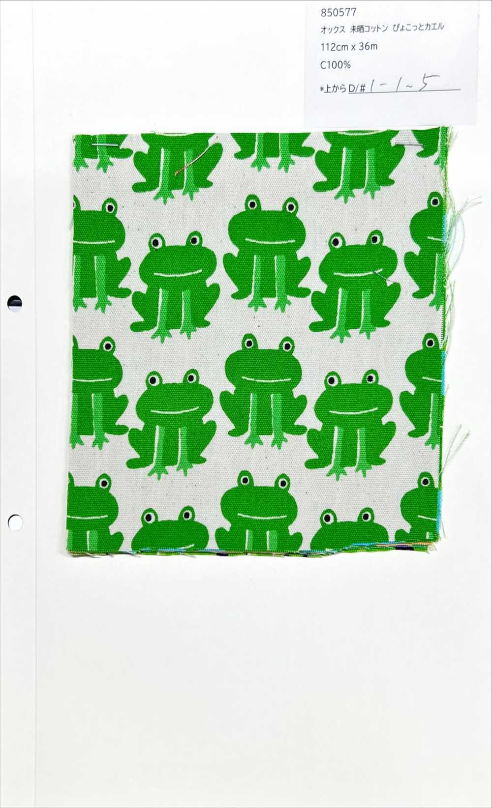 850577 Vải Vải Oxford Cotton Frog Chưa Tẩy Trắng VANCET
