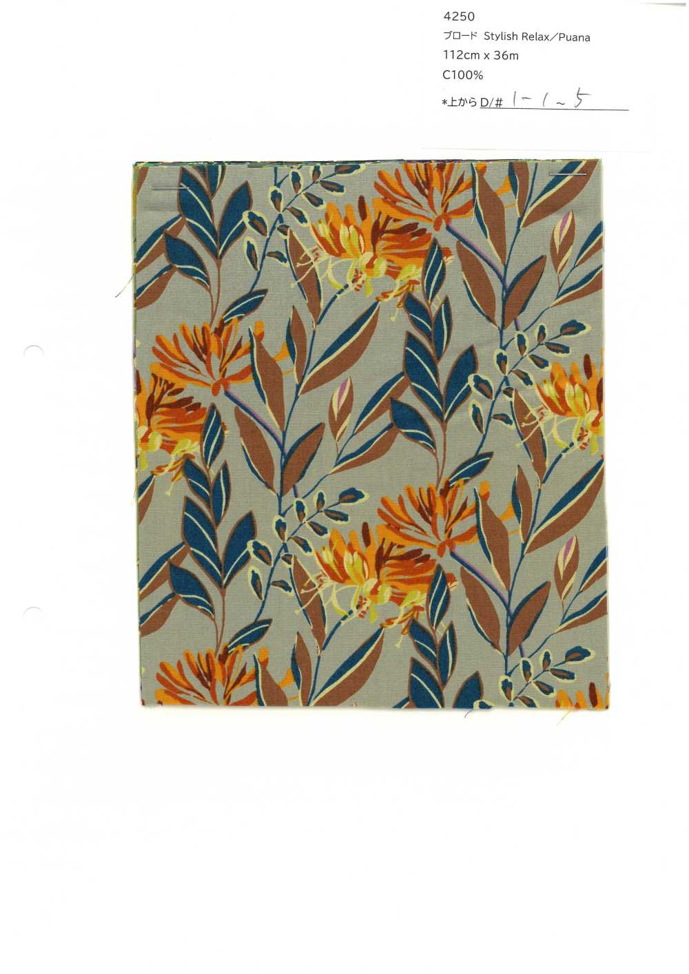 4250 SEVENBERRY® Vải Broadcloth Phong Cách Thư Giãn / Puana VANCET