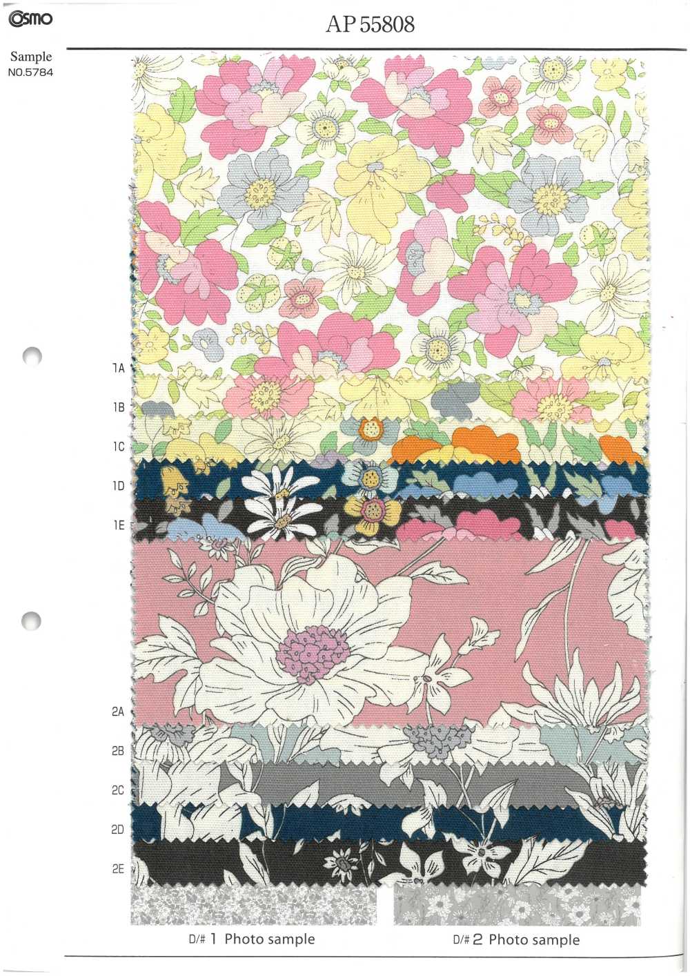 AP55808-DR Essential Grace 2 Vải Oxford(Gấp đôi) COSMO TEXTILE