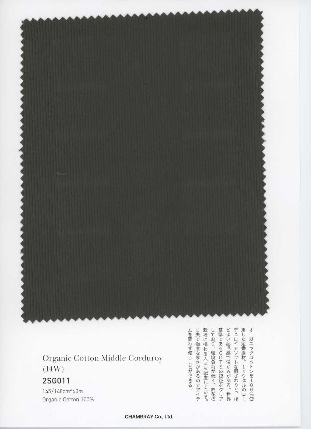 2SG011 Nhung Tăm Cotton Hữu Cơ Loại Vừa (14W)[Vải] CHAMBRAY