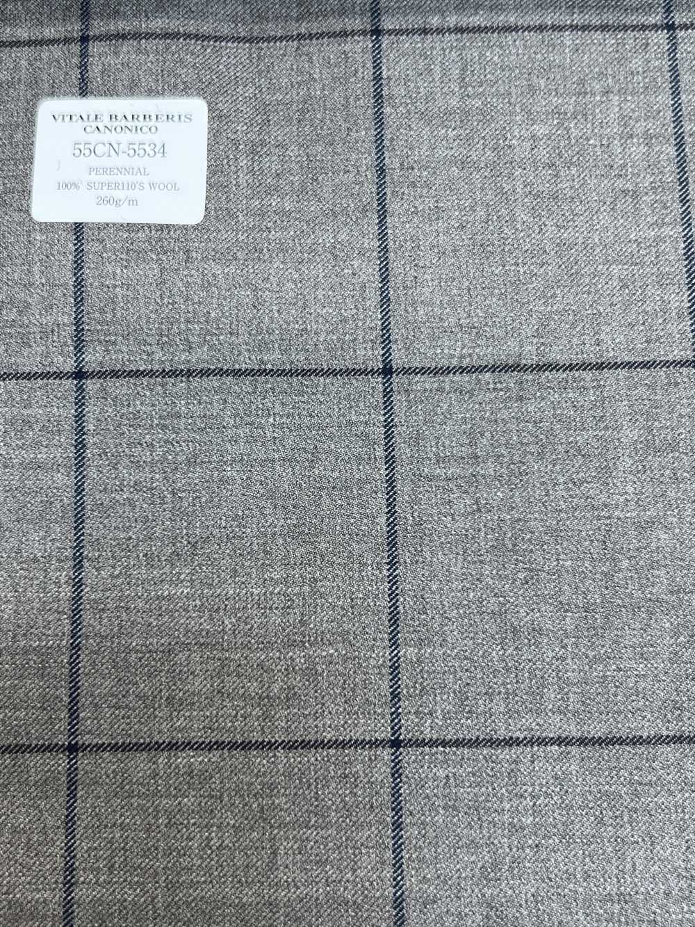 55CN5534 CANONICO PERENNIAL SUPER110'S Beige Windowpane[Vải] CANONICO
