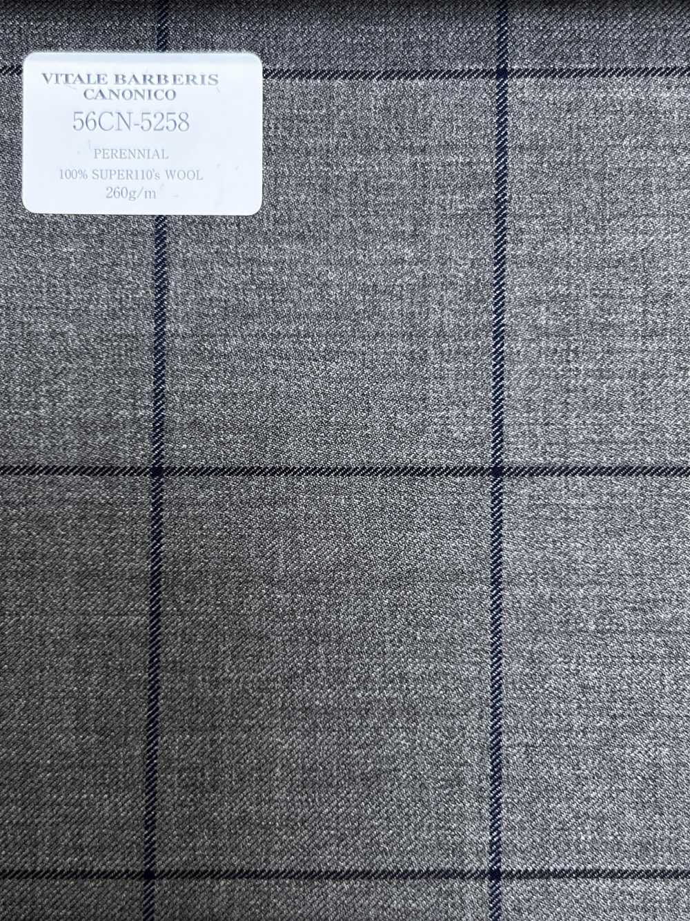 56CN5258 CANONICO PERENNIAL-CLASSICS nâu/xanh navy kẻ ô cửa sổ[Vải] CANONICO