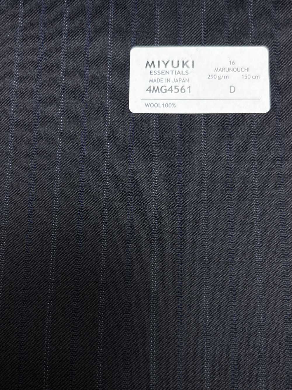 4MG4561 26AW MARUNOUCHI vải chéo xanh navy kẻ sọc[Vải] Miyuki Keori (Miyuki)