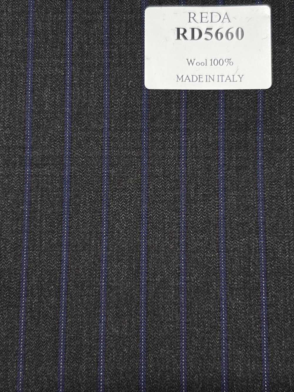 RD5660 REDA kẻ sọc xám × xanh navy[Vải] Hosoi Shoji Co., Ltd.