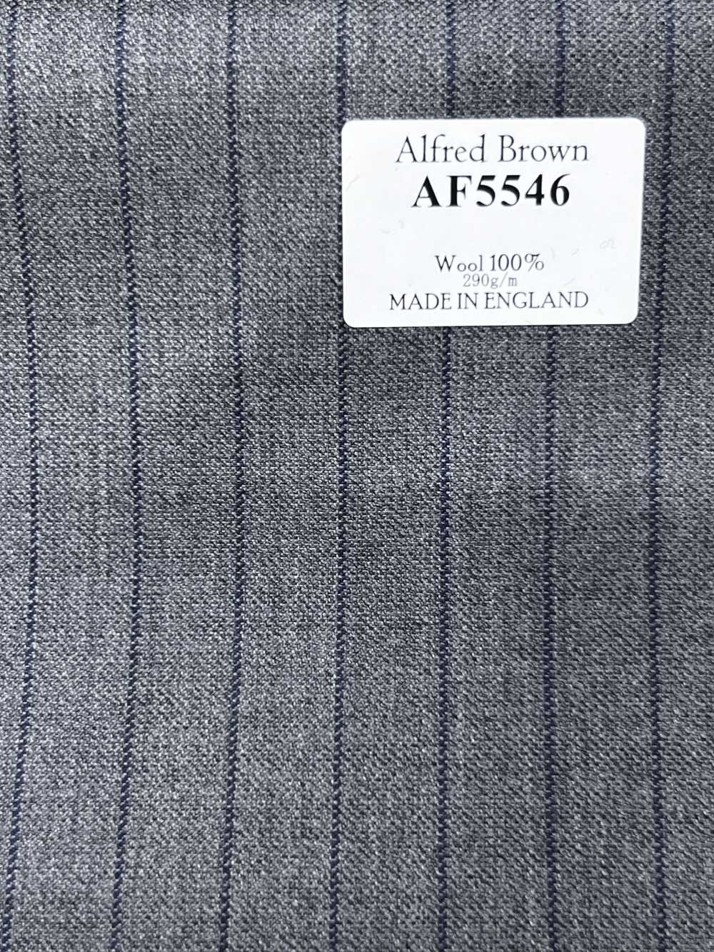 AF5546 Alfred Brown kẻ sọc xám × xanh navy[Vải] Hosoi Shoji Co., Ltd.