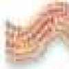 Hồng Vỏ Sò Hồng Vỏ Sò