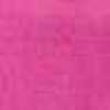 Hồng Fuchsia Hồng Fuchsia