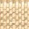 Nâu Biscuit Nâu Biscuit