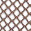 Nâu Sồi Nâu Sồi