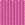 Hồng Fuchsia Hồng Fuchsia