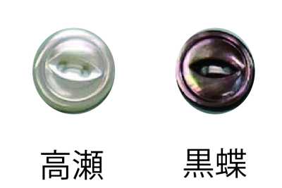 157 Cúc 2 Lỗ Có Viền