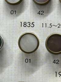 1835 Hàng Cúc Thanh Lịch Và Sang Trọng Cho áo Sơ Mi Và áo Khoác đơn Giản DAIYA BUTTON Ảnh phụ