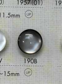 190B Cúc Nhựa Resin Polyester Ảnh phụ