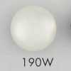 190W Cúc Làm Từ Nhựa Resin Polyester