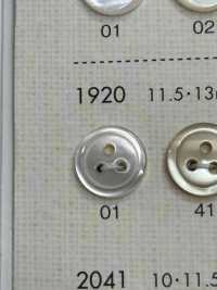 1920 NÚT DAIYA Cúc Polyester 3 Vỏ Trai/sò/xà Cừ DAIYA BUTTON Ảnh phụ