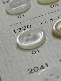 1920 NÚT DAIYA Cúc Polyester 3 Vỏ Trai/sò/xà Cừ DAIYA BUTTON Ảnh phụ