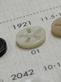 1921 NÚT DAIYA Cúc Polyester 5 Vỏ Trai/sò/xà Cừ DAIYA BUTTON Ảnh phụ