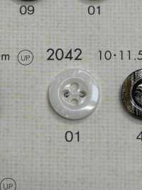 2042 NÚT DAIYA Cúc Polyester Giống Vỏ Trai/sò/xà Cừ DAIYA BUTTON Ảnh phụ