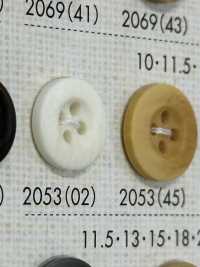 2053 Cúc Nhựa Resin Polyester 4 Lỗ Có Viền Ảnh phụ