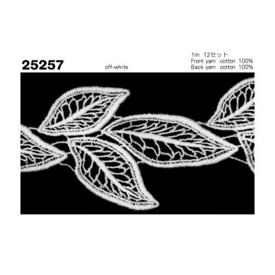 25257 Đăng Ten Hóa Học