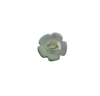 265 Cúc Vỏ Trai 2 Lỗ Takasegai