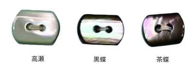 3010 Cúc Vỏ Trai Hai Lỗ Hình Bầu Dục