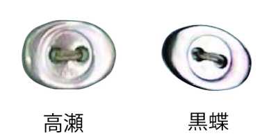 3400 Cúc Vỏ Trai Hình Bầu Dục 2 Lỗ