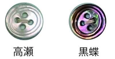 3500 Cúc Vỏ Trai 4 Lỗ Có Viền