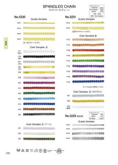 5231 Xích Sequin