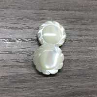 610 Cúc Vỏ Trai Vỏ Tròn, Có Cạnh Tomoi Ảnh phụ