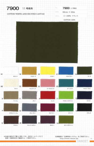 7900 Canvas Số 11