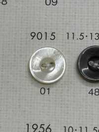 9015 NÚT DAIYA Cúc Polyester Giống Vỏ Trai/sò/xà Cừ DAIYA BUTTON Ảnh phụ