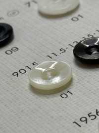 9015 NÚT DAIYA Cúc Polyester Giống Vỏ Trai/sò/xà Cừ DAIYA BUTTON Ảnh phụ