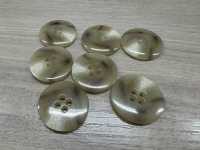 BF3 Cúc Giống Con Trâu IRIS Ảnh phụ