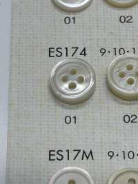 ES174 NÚT DAIYA Cúc Polyester Giống Vỏ Trai/sò/xà Cừ DAIYA BUTTON Ảnh phụ
