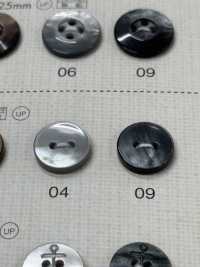 FM301 NÚT DAIYA Cúc Polyester Giống Vỏ Trai/sò/xà Cừ DAIYA BUTTON Ảnh phụ