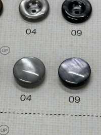 FM304 NÚT DAIYA Cúc Polyester Giống Vỏ Trai/sò/xà Cừ DAIYA BUTTON Ảnh phụ
