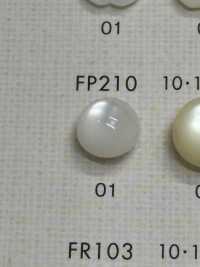 FP210 NÚT DAIYA Cúc Polyester Giống Vỏ Trai/sò/xà Cừ (Hình Bán Cầu) DAIYA BUTTON Ảnh phụ