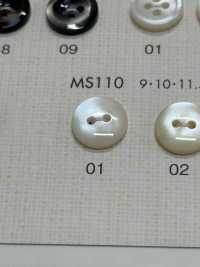 MS110 NÚT DAIYA Cúc Polyester Giống Vỏ Trai/sò/xà Cừ DAIYA BUTTON Ảnh phụ